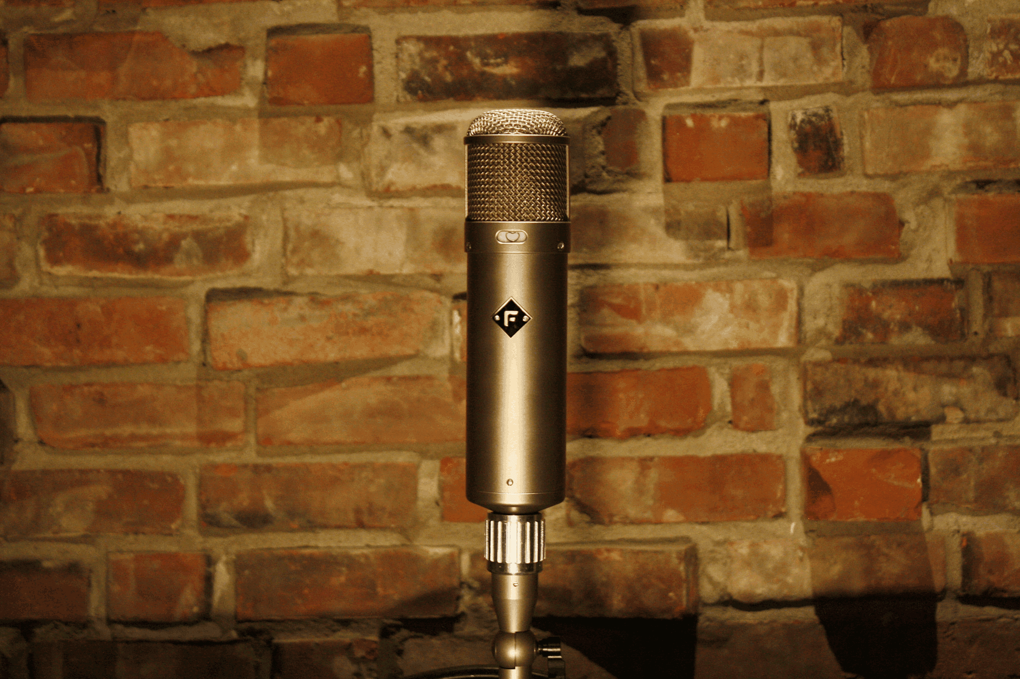 Fortin DB7 vintage microphone